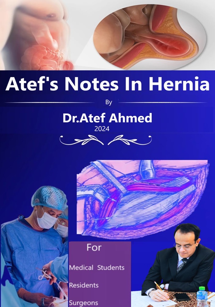 Atef's Notes In Hernia Book Cover